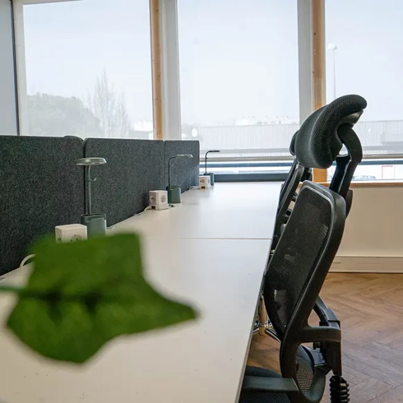 Open Space  50 postes Coworking Avenue de Canteranne Pessac 33600 - photo 1