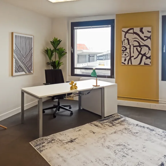 Bureau privé 18 m² 4 postes Coworking Quai Kléber Strasbourg 67000 - photo 3