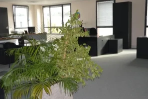 Espace indépendant - 78290 - 12 postes - 2510€