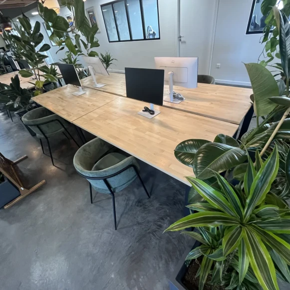 Open Space  8 postes Coworking Impasse Edmond Audran Toulouse 31200 - photo 1
