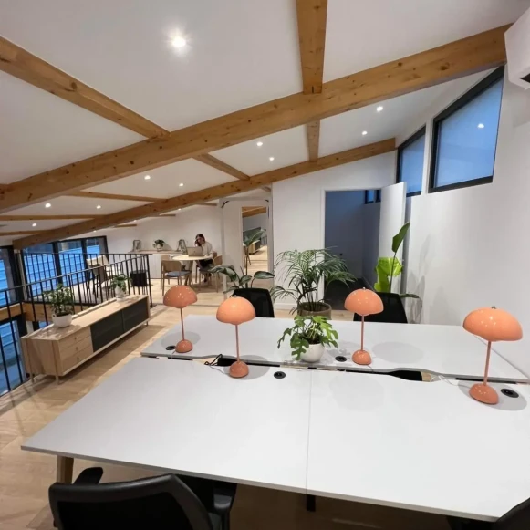 Espace indépendant 270 m² 30 postes Location bureau Rue Douy Délcupe Montreuil 93100 - photo 1