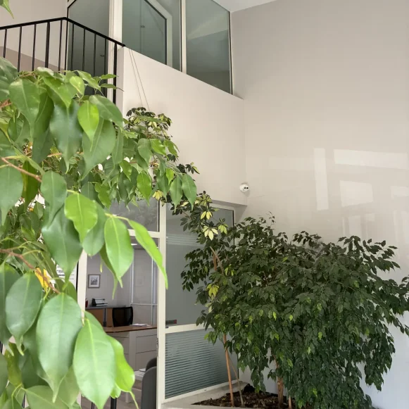 Bureau privé 18 m² 3 postes Location bureau Chemin des Vernèdes Puget-sur-Argens 83480 - photo 8