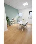 Bureau privé - 59200 - 3 postes - 319€