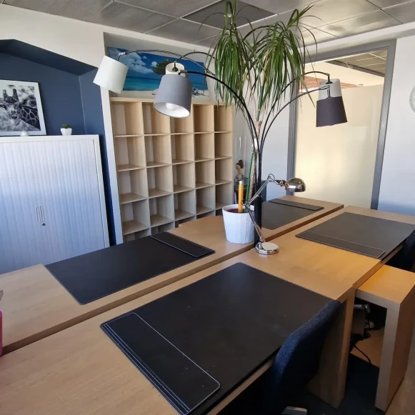 Bureau privé 19 m² 4 postes Coworking Rue Jacobi-Netter Strasbourg 67200 - photo 1