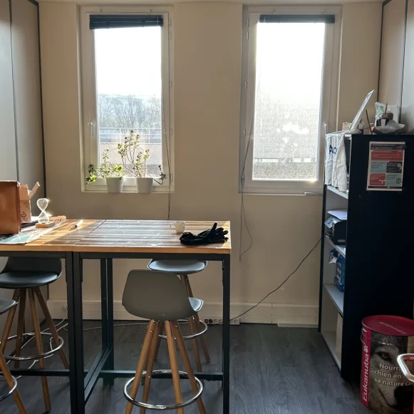 Bureau privé 12 m² 3 postes Coworking Rue Marcel Mérieux Lyon 69007 - photo 8