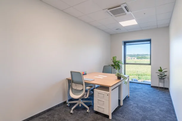 Bureau privé - 67000 - 2 postes - 1099€