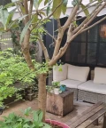Open Space - 75018 - 5 postes - 195€