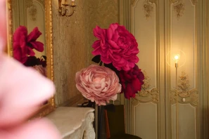 Bureau privé - 34000 - 12 postes - 4800€