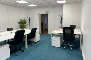 Bureau privé - 69003 - 10 postes - 2800€