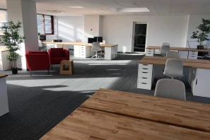 Open Space - 33150 - 30 postes - 190€