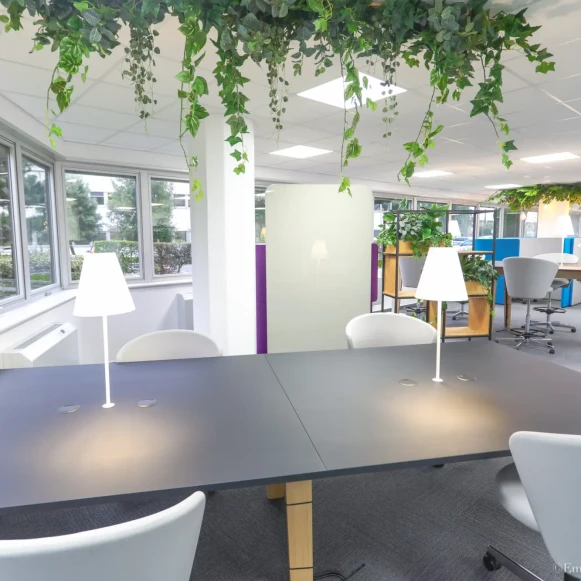 Open Space  1 poste Coworking Avenue Didier Daurat Blagnac 31700 - photo 1