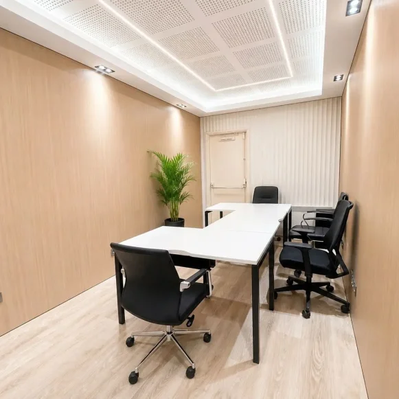 Bureau privé 13 m² 3 postes Coworking Boulevard Marius Vivier Merle Lyon 69003 - photo 1