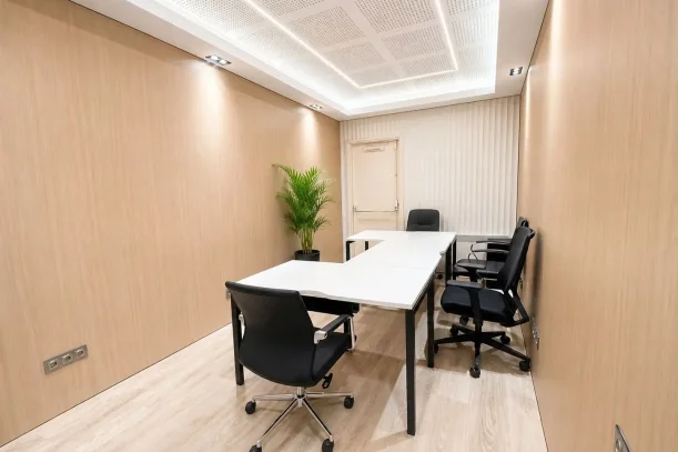 Bureau privé - 69003 - 3 postes - 490€