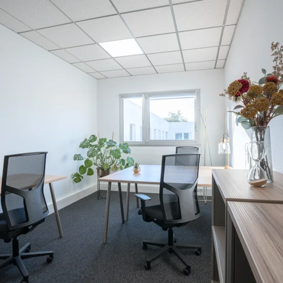 Bureau privé 11 m² 2 postes Location bureau Voie Romaine Canéjan 33610 - photo 2