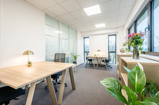 Bureau privé - 67960 - 4 postes - 1324€