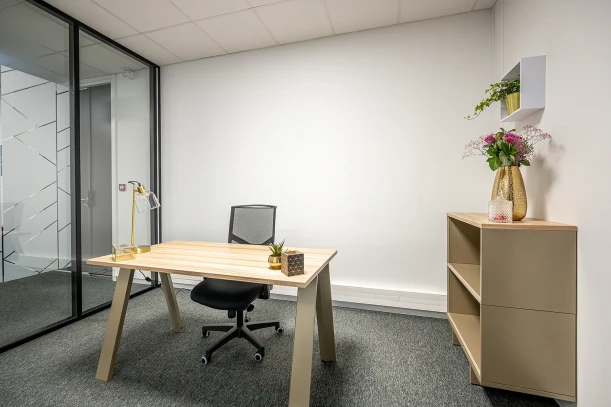 Bureau privé - 67300 - 1 poste - 567€