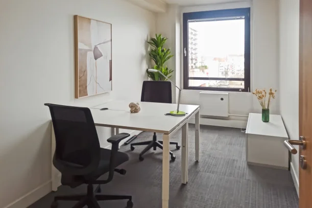 Bureau privé - 67000 - 2 postes - 1000€