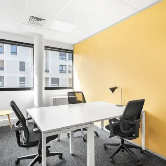 Bureau privé 150 m² 30 postes Coworking Rue Pré-Gaudry Lyon 69007 - photo 1