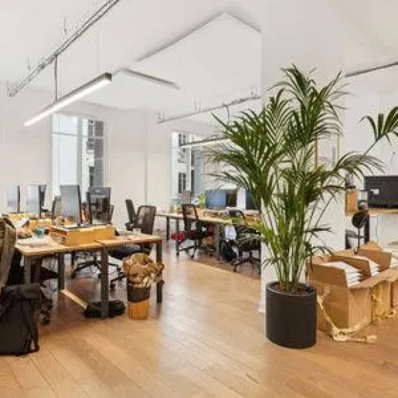 Espace indépendant 240 m² 40 postes Location bureau Rue Réaumur Paris 75002 - photo 1