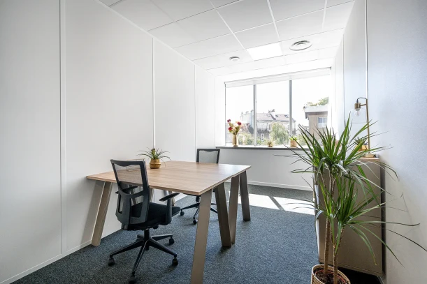 Bureau privé - 69791 - 1 poste - 522€