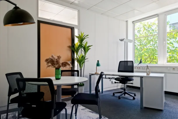 Bureau privé - 67300 - 5 postes - 1770€