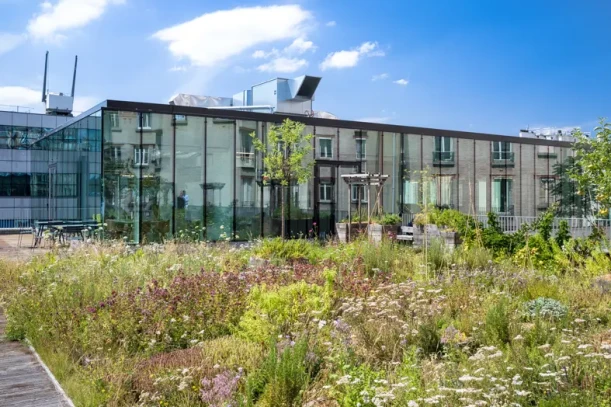 Deskopolitan Voltaire