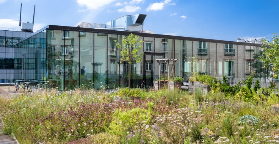 Espaces de travail et de coworking Deskopolitan