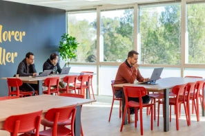 Bureau privé - 06410 - 2 postes - 690€