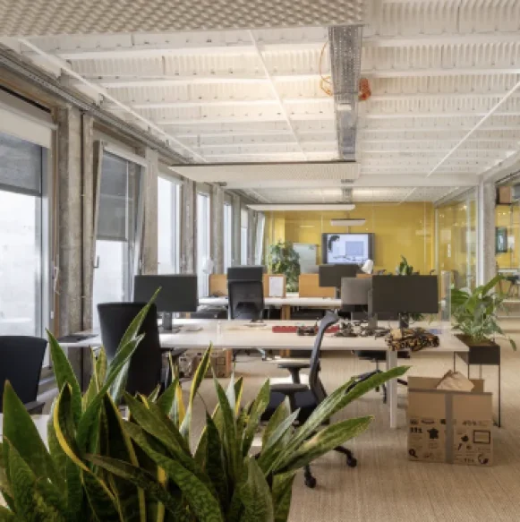 Bureau privé 760 m² 120 postes Location bureau Rue Saint-Fiacre Paris 75002 - photo 5