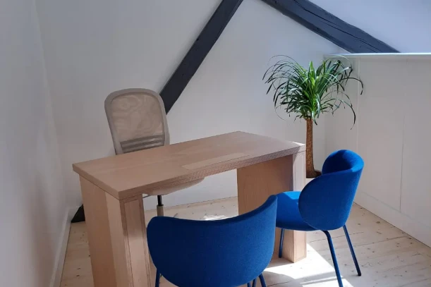 Bureau privé - 69002 - 1 poste - 450€