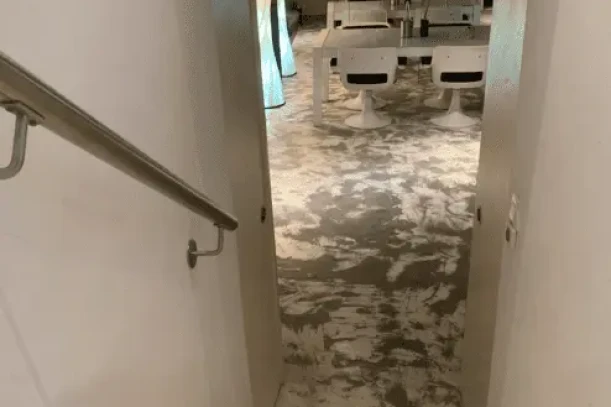 Open Space - 75003 - 8 postes - 250€