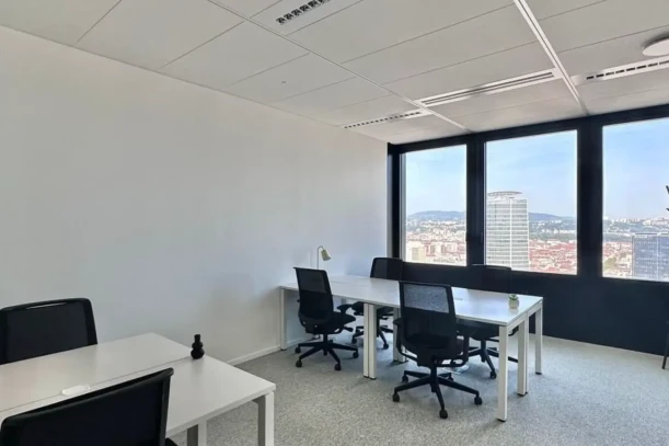 Bureau privé - 69003 - 8 postes - 3526€