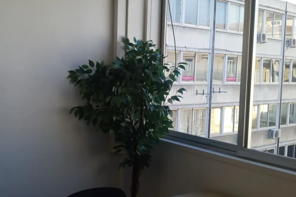 Bureau privé - 13008 - 2 postes - 540€