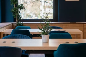 Flex-O Lyon Tête d'Or