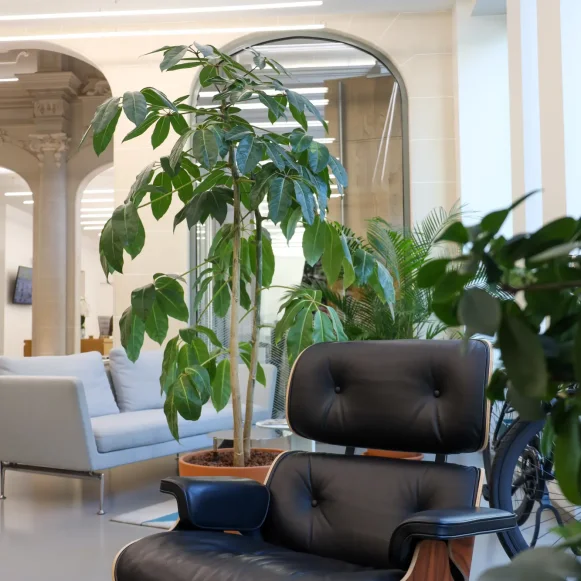 Bureau privé 5 m² 1 poste Location bureau Rue du Louvre Paris 75001 - photo 12