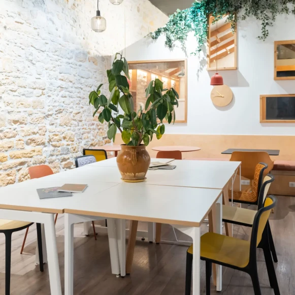 Open Space  25 postes Coworking Rue du Bât d'Argent Lyon 69001 - photo 1