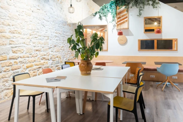Open Space - 69001 - 25 postes - 290€