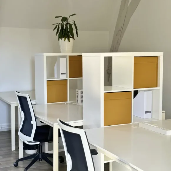 Open Space  5 postes Coworking Rue du Général Maurice Guillaudot Rennes 35000 - photo 2