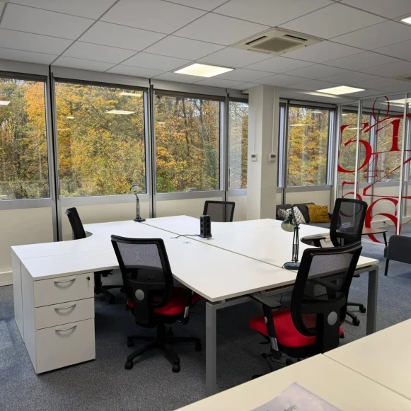 Bureau privé 20 m² 1 poste Location bureau Rue Andras Beck Meudon 92360 - photo 4