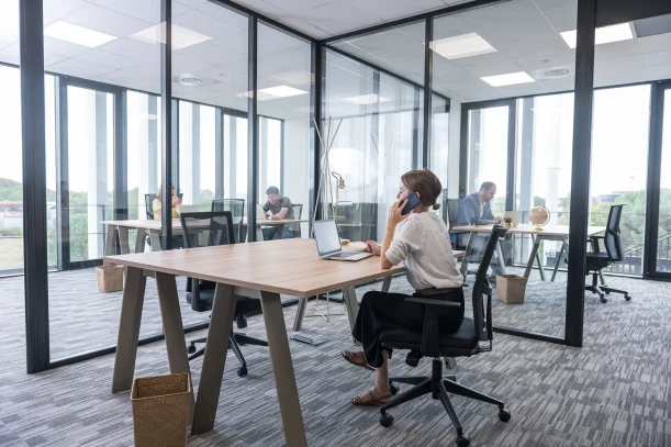 Bureau privé - 33700 - 9 postes - 3614€