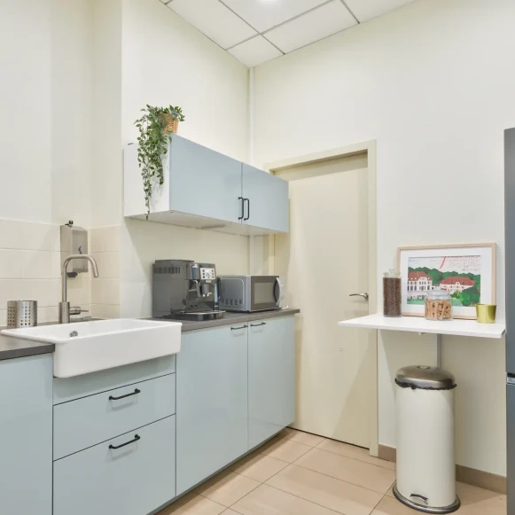 Bureau privé 135 m² 18 postes Coworking Rue de la République Lyon 69001 - photo 5