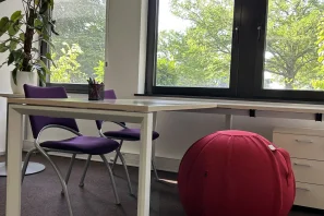Bureau privé - 67960 - 2 postes - 150€