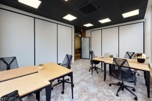 Bureau privé - 59800 - 30 postes - 11500€