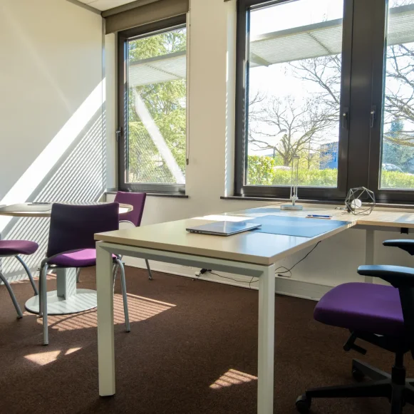 Bureau privé 10 m² 2 postes Location bureau Rue des Cigognes Entzheim 67960 - photo 4