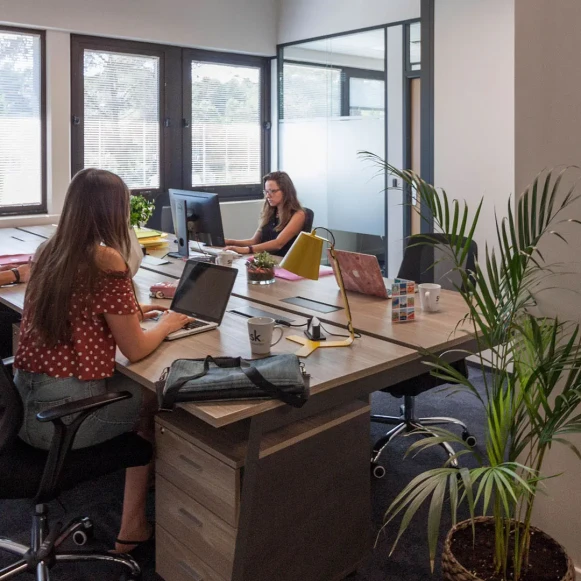 Open Space  3 postes Coworking Route des Dolines Valbonne 06560 - photo 5