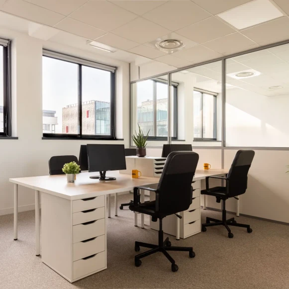 Bureau privé 24 m² 4 postes Coworking Avenue Paul Kruger Villeurbanne 69100 - photo 2