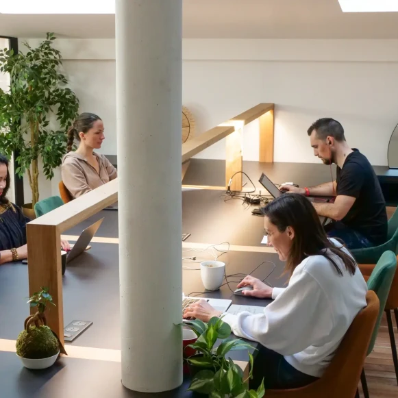 Open Space  22 postes Coworking Rue Jacques Bounin Montpellier 34070 - photo 8