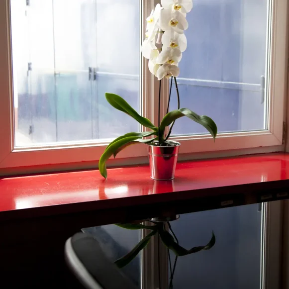 Open Space  12 postes Coworking Rue du Faubourg Saint-Martin Paris 75010 - photo 5