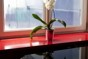 Open Space - 75010 - 12 postes - 330€