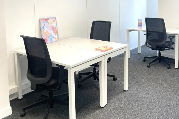 Bureau privé - 69125 - 3 postes - 945€